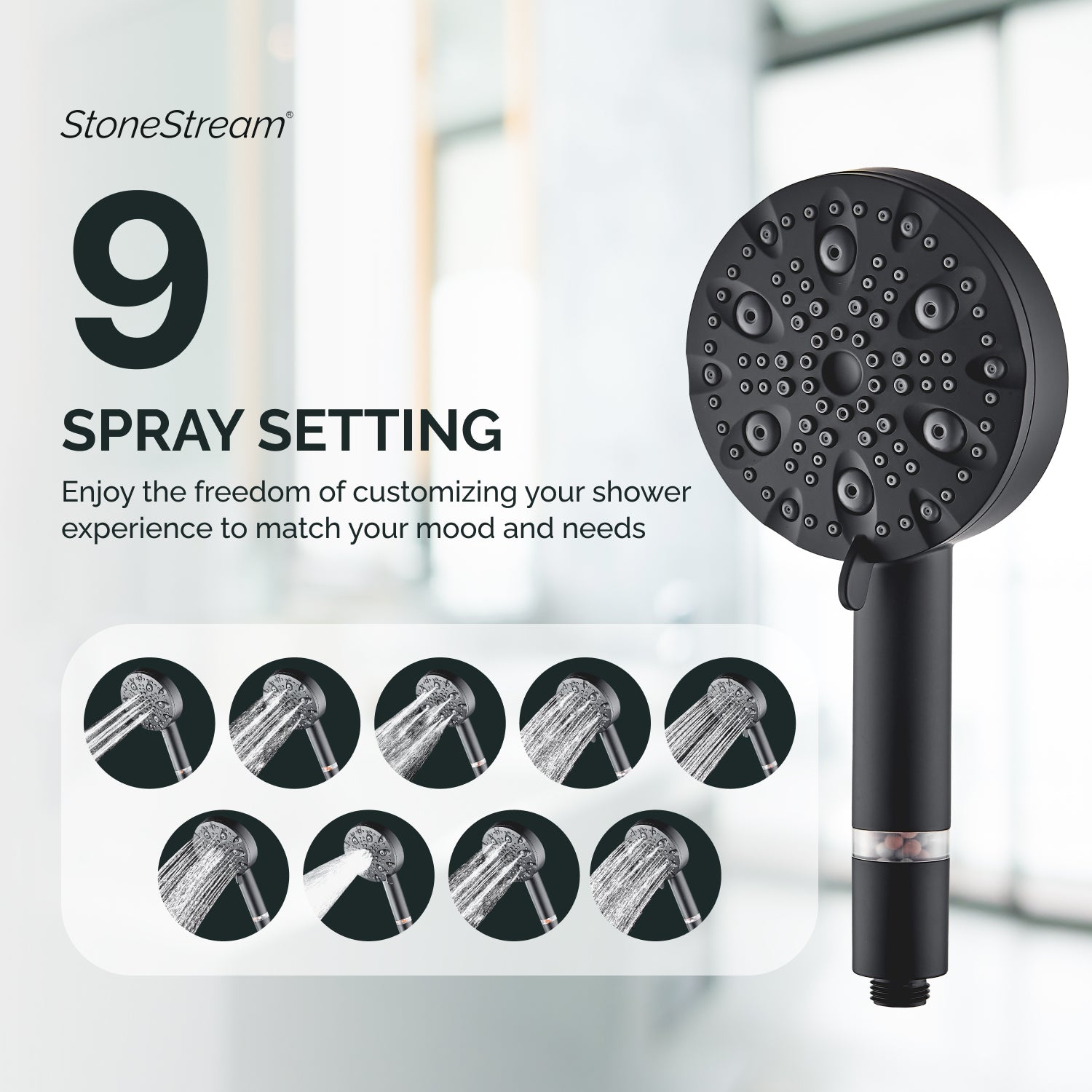 EcoLux 9-mode Black Stainless Steel Shower Head + Wall Adapter Kit