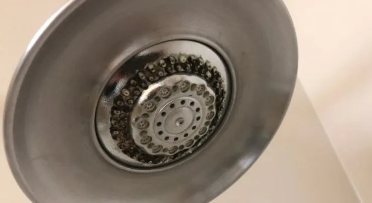 Bacteria and mold growing inside a shower head requiring deep cleaning
